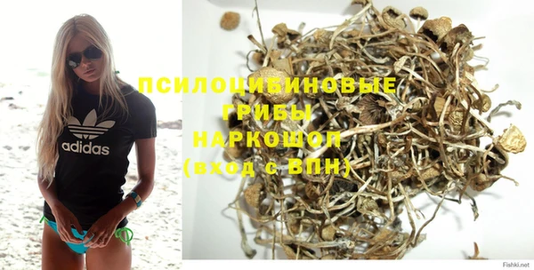 бошки Верея