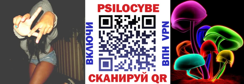 Купить Красавино Псилоцибиновые грибы Magic Shrooms